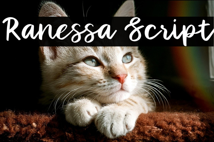 Ranessa Script Example 2