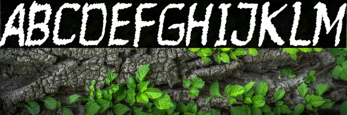 Ranforty Rx Example 1