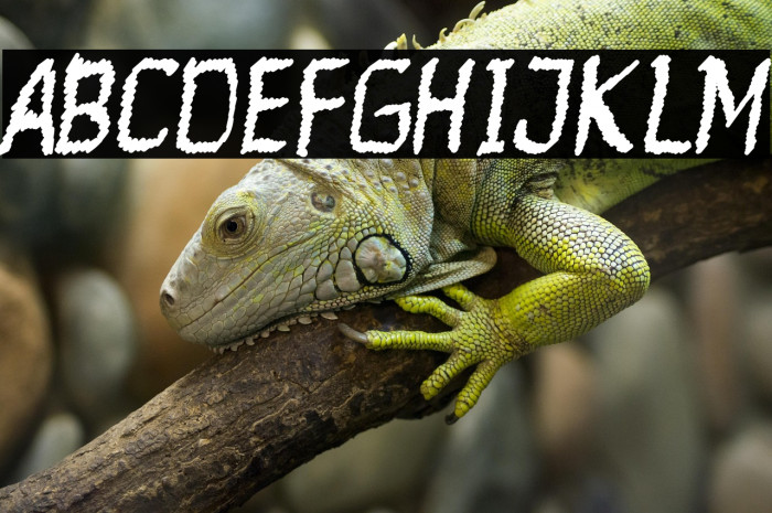 Ranforty Rx Example 3