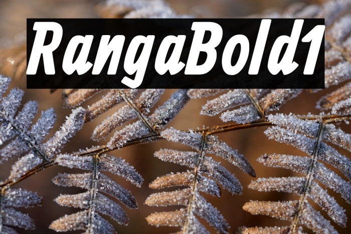 Ranga Bold1 Example 1