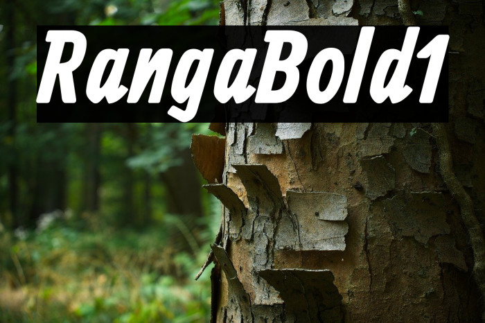 Ranga Bold1 Example 2