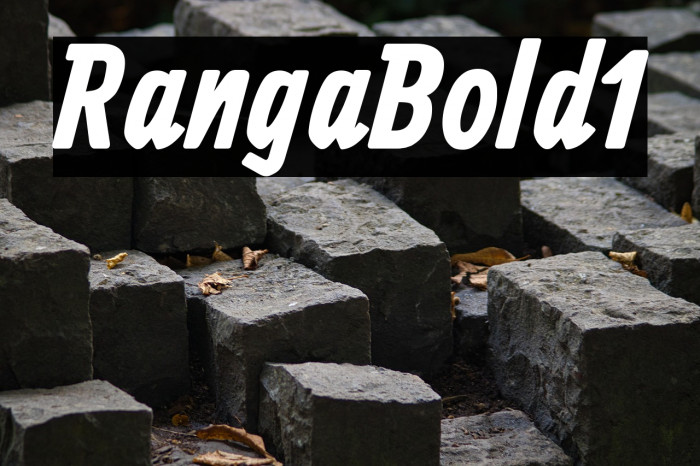 Ranga Bold1 Example 3