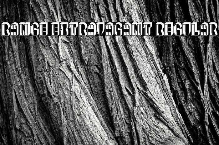 Range Extravagant Regular Example 1