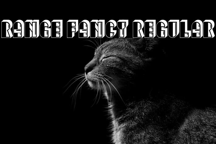 Range Fancy Regular Example 1