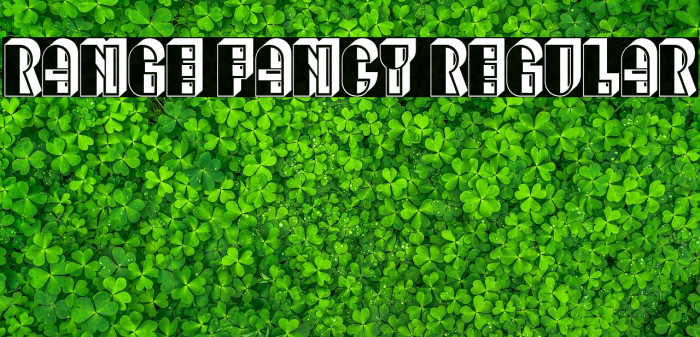 Range Fancy Regular Example 3