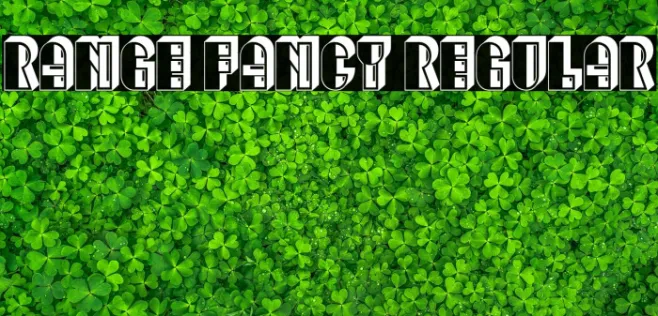 Range Fancy Regular Example 3