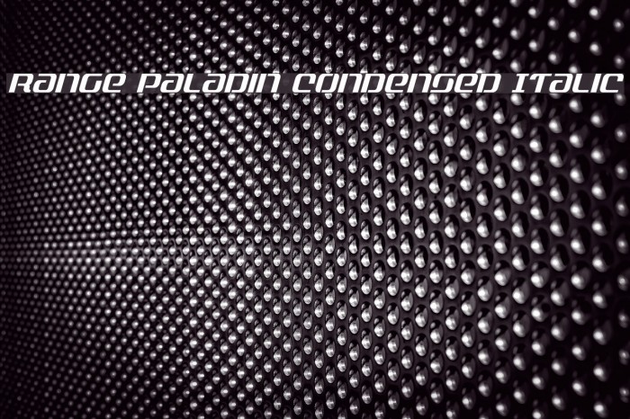 Range Paladin Condensed Italic Font examples