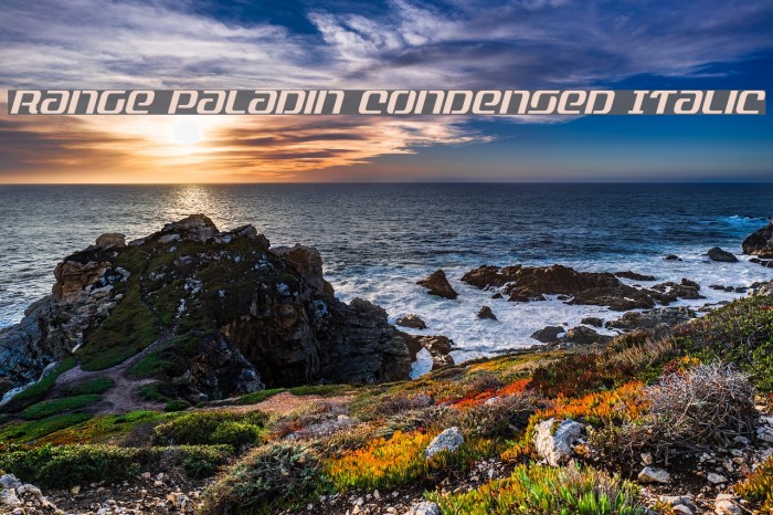 Range Paladin Condensed Italic Font examples