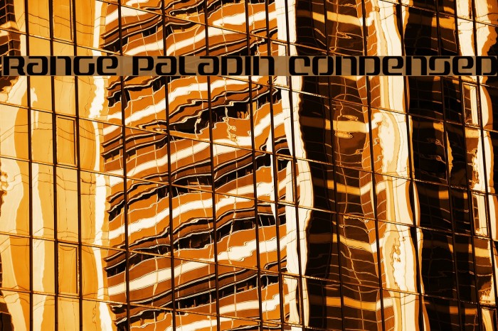 Range Paladin Condensed Example 1