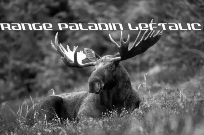Range Paladin Leftalic Font examples