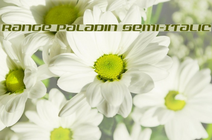Range Paladin Semi-Italic Font examples