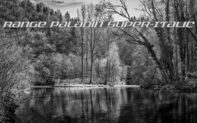 Range Paladin Super-Italic Font examples