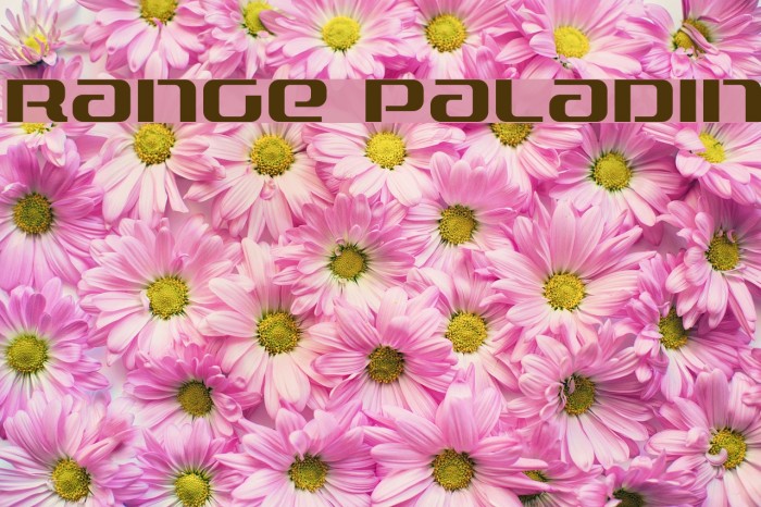 Range Paladin Font examples
