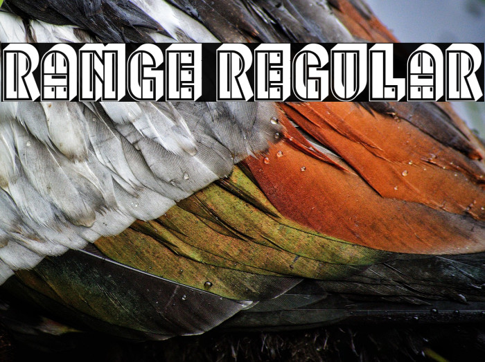 Range Regular Example 1