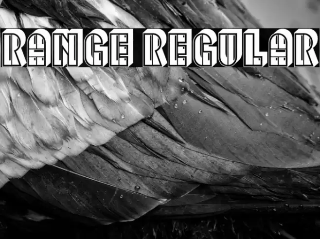 Range Regular Font examples