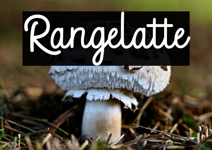 Rangelatte Example 2