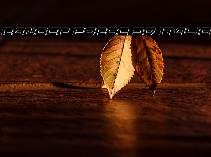 Ranger Force 3D Italic Example 1