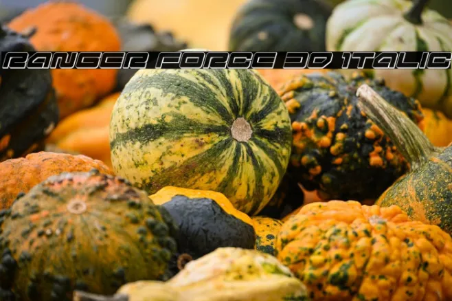 Ranger Force 3D Italic Example 3