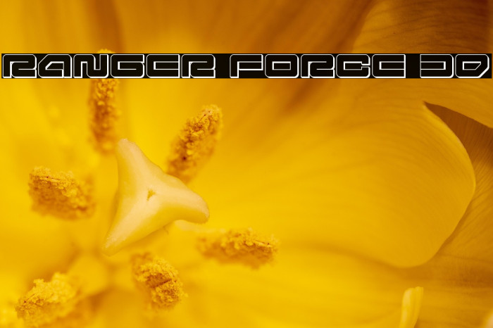 Ranger Force 3D Example 2