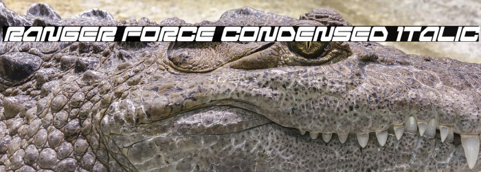 Ranger Force Condensed Italic Example 2