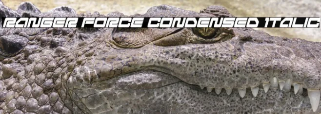 Ranger Force Condensed Italic Example 2