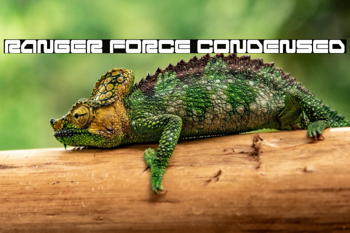 Ranger Force Condensed Example 1