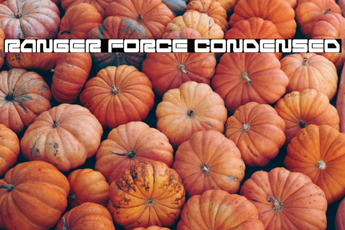 Ranger Force Condensed Example 2