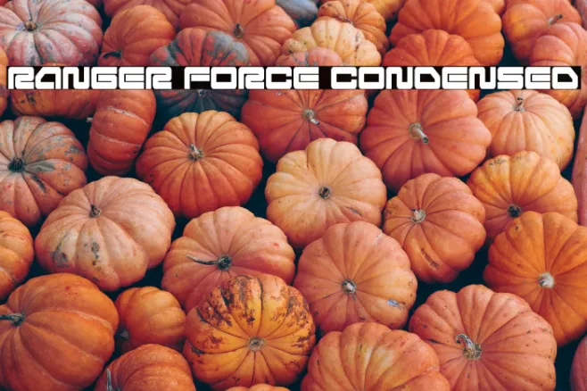 Ranger Force Condensed Example 2