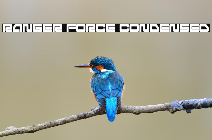 Ranger Force Condensed Example 3