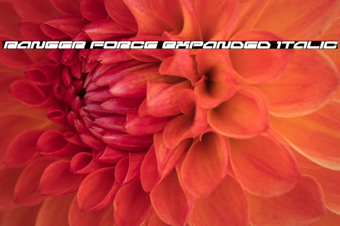 Ranger Force Expanded Italic Example 2