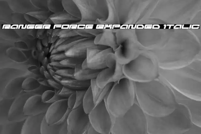 Ranger Force Expanded Italic Font examples