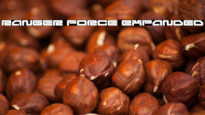 Ranger Force Expanded Example 2