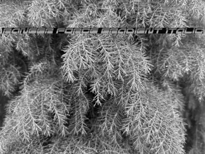 Ranger Force Gradient Italic Font examples