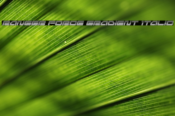 Ranger Force Gradient Italic Example 3