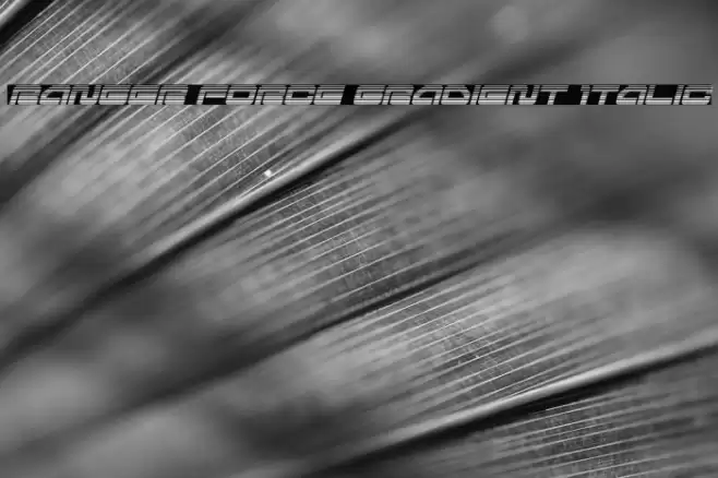 Ranger Force Gradient Italic Font examples