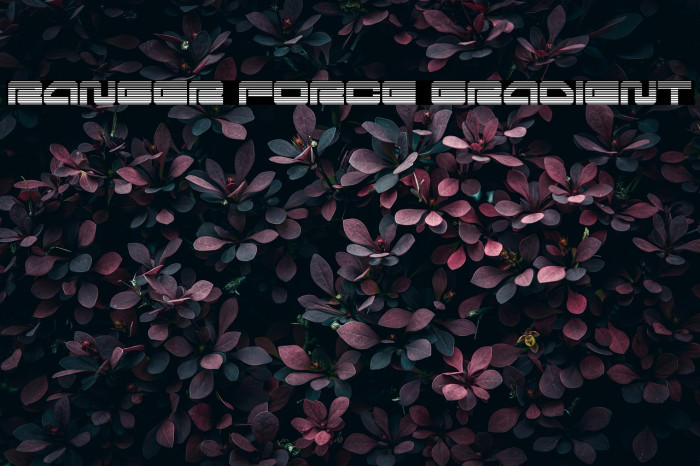 Ranger Force Gradient Example 1