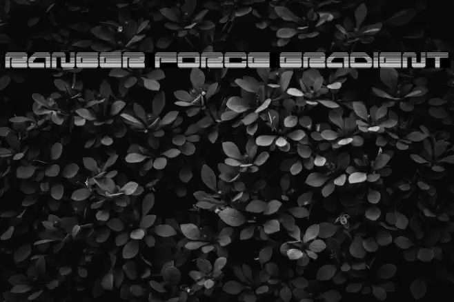 Ranger Force Gradient Font examples