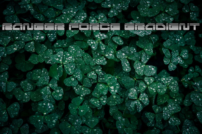 Ranger Force Gradient Example 2