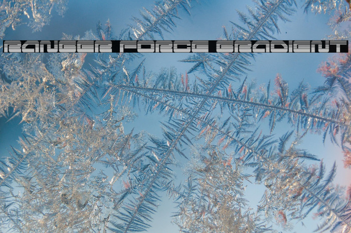 Ranger Force Gradient Example 3