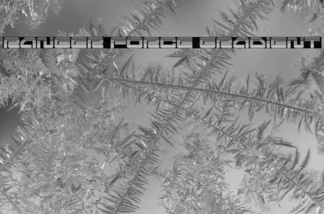 Ranger Force Gradient Font examples