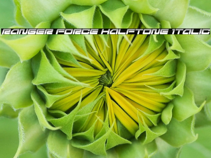 Ranger Force Halftone Italic Example 3