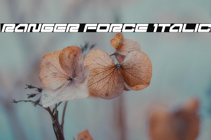 Ranger Force Italic Example 2
