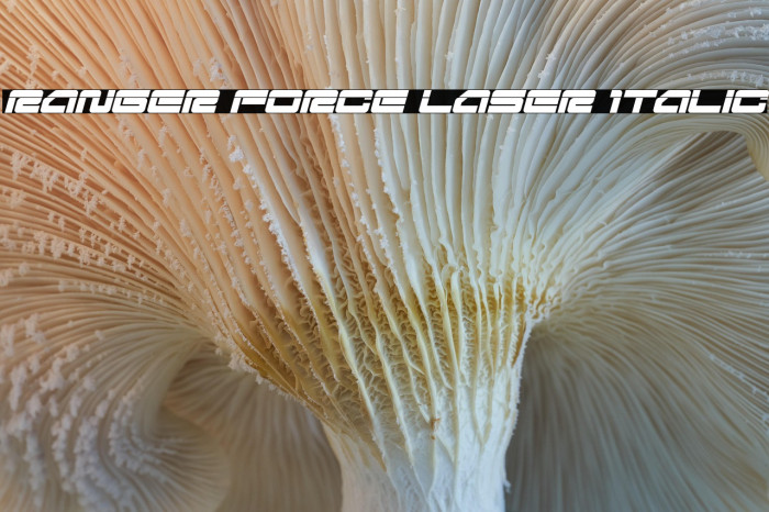 Ranger Force Laser Italic Example 1