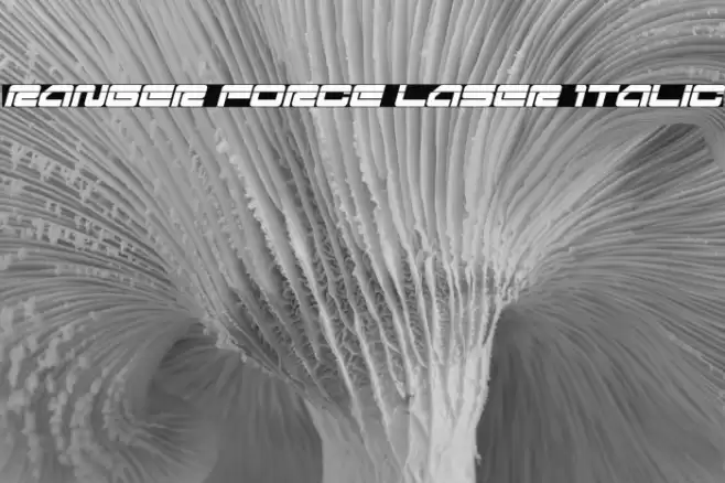 Ranger Force Laser Italic Font examples