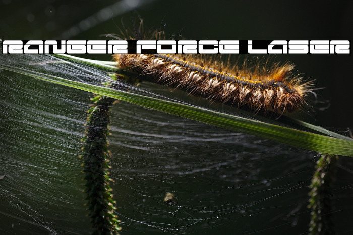 Ranger Force Laser Example 2