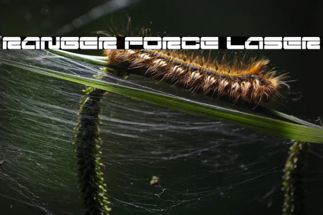 Ranger Force Laser Example 2