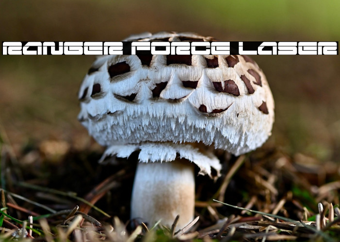 Ranger Force Laser Example 3