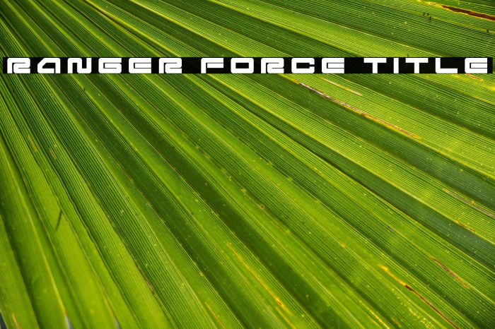 Ranger Force Title Example 2