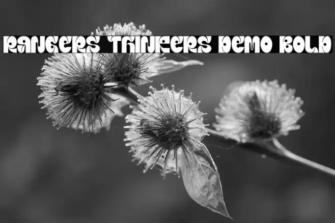 Rangers Thinkers Demo Bold Fuentes examples