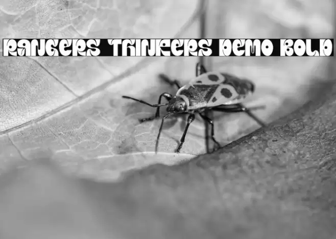 Rangers Thinkers Demo Bold Fuentes examples